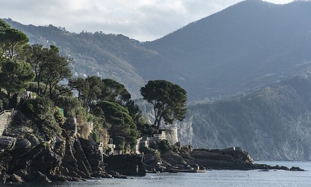 Ile kosztuje 1 kg świeżych grzybów?