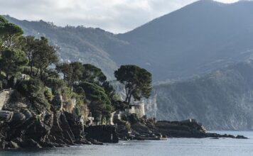 Ile kosztuje krzak jagody kamczackiej?