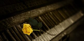 Jaki organ budzi o 3 rano?