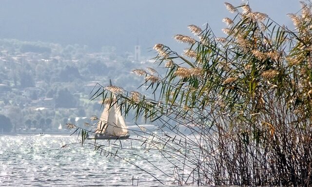 Jak wygląda wysypka przy pasożytach?