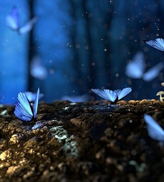 Ile kosztują grzyby na targu?