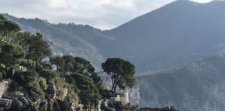 Ile kosztuje 10 jajek Biedronka?